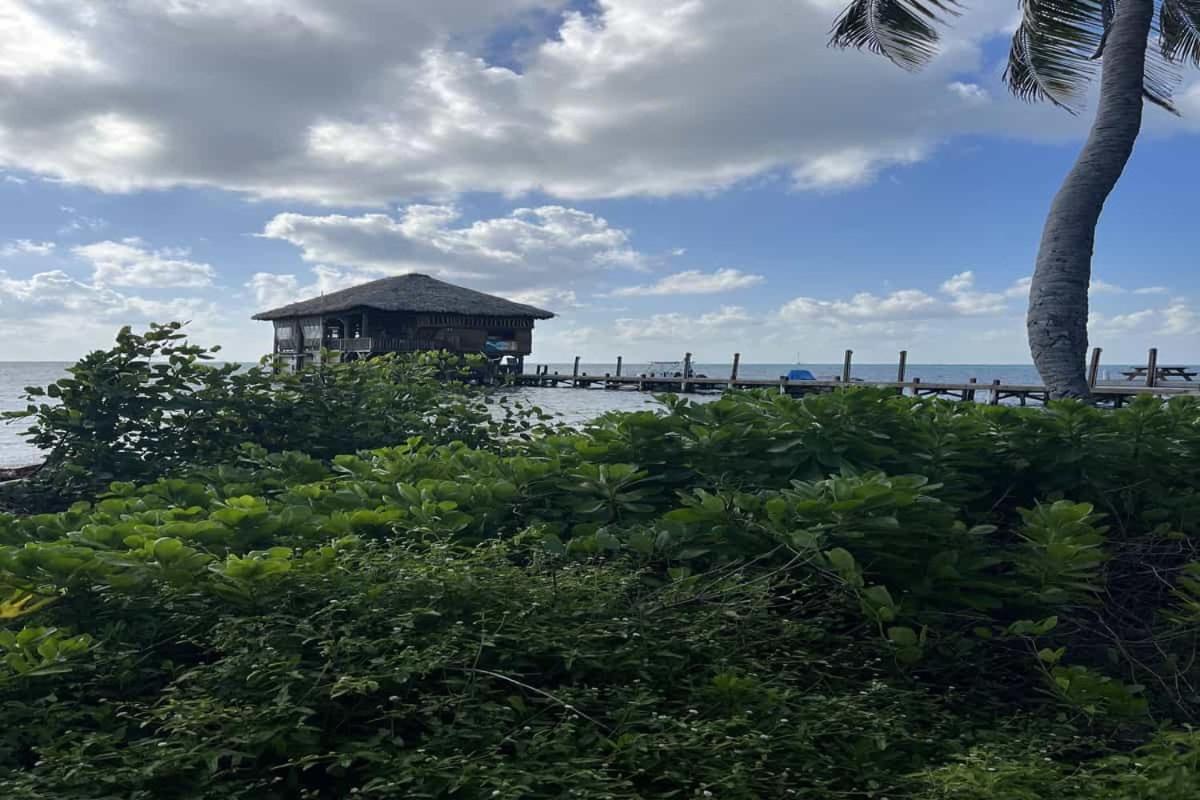 Residences At Barrier Reef 4C Oceanview 2 Bedroom By Stay Floreo San Pedro  Bagian luar foto