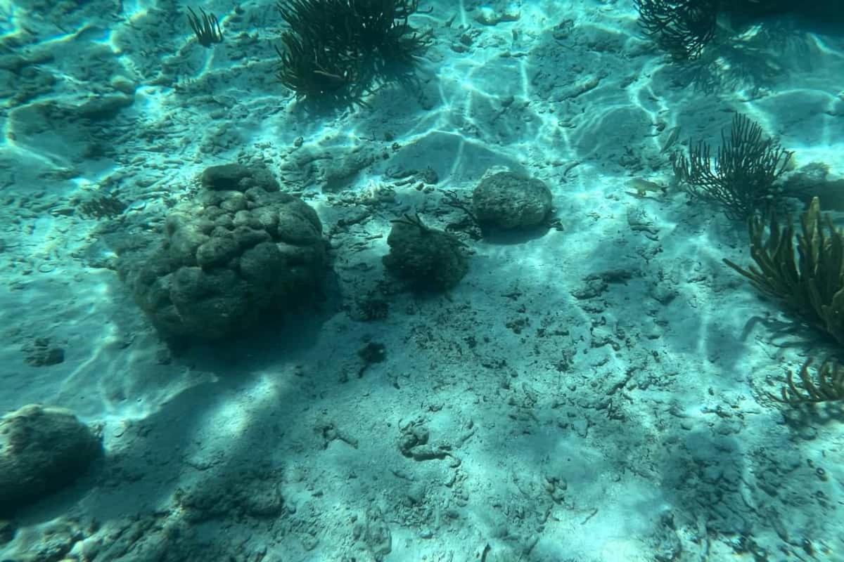 Residences At Barrier Reef 4C Oceanview 2 Bedroom By Stay Floreo San Pedro  Bagian luar foto